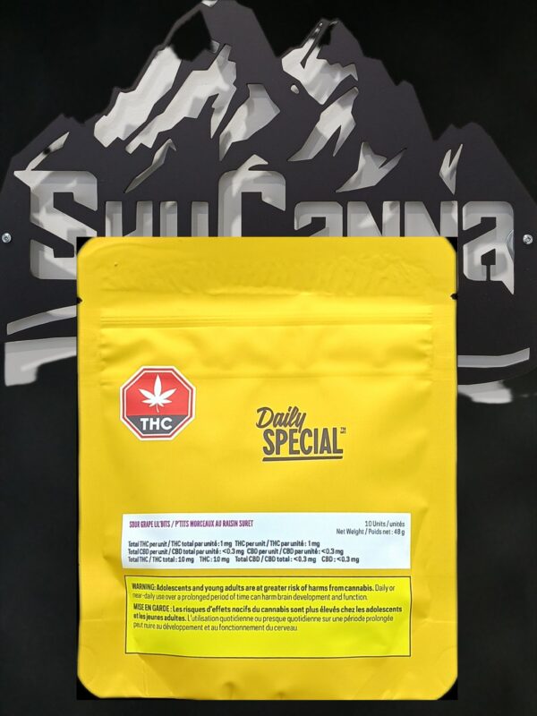 DAILY SPECIAL - SOUR GRAPE LIL BITS - 48 GRAM