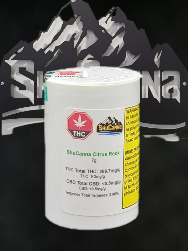 SHUCANNA- CITRUS ROCK-7G